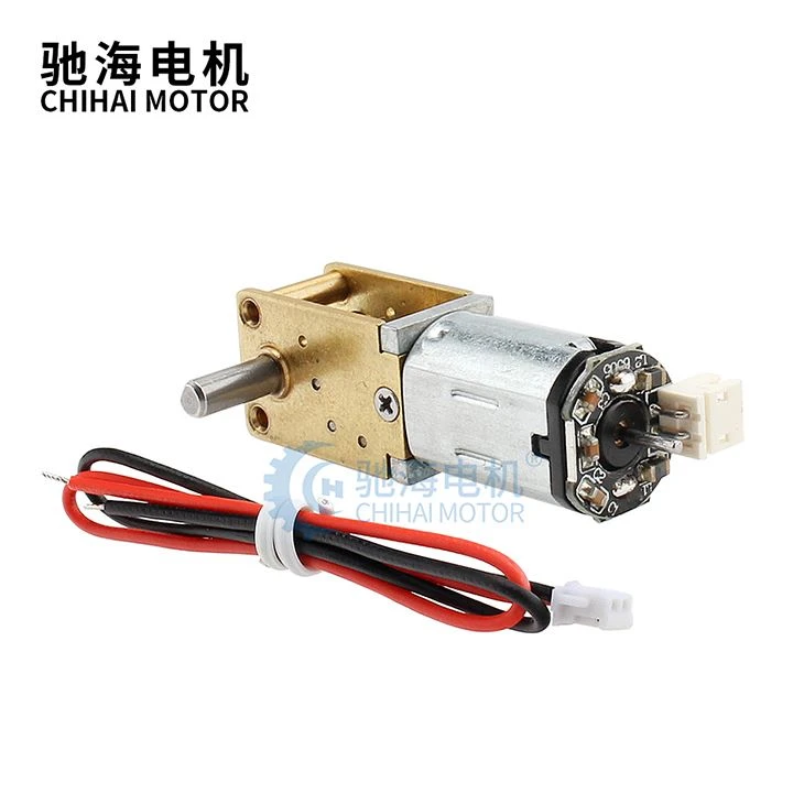 Double Shaft DC Worm Gear Motor