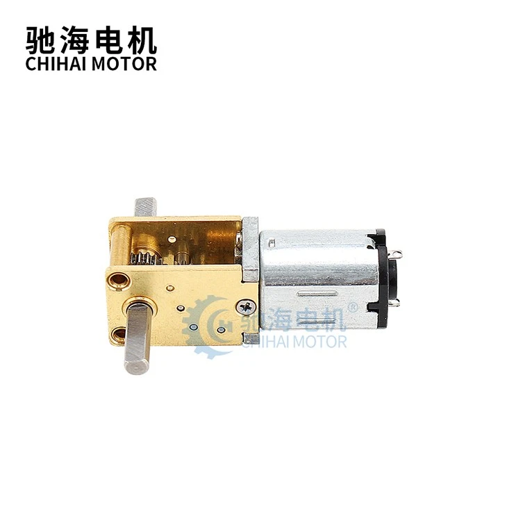 Double Shaft DC Worm Gear Motor
