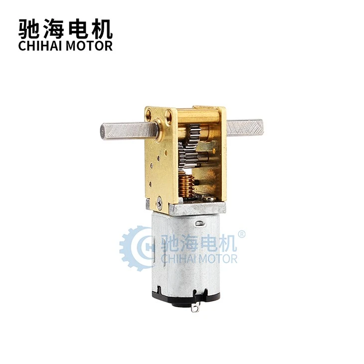 Double Shaft DC Worm Gear Motor