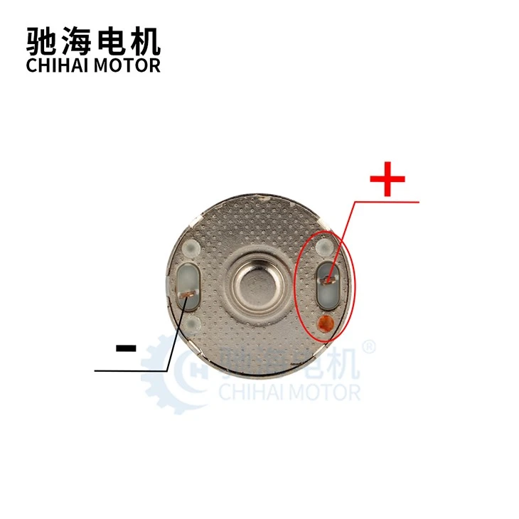 Micro DC Carbon Brush Motor Water Pump